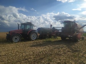 Massey Ferguson 6260 Droninngobrg D4500