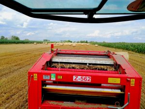 Metal fach z-562 & słoma 