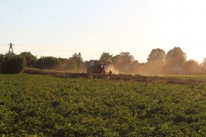 Żniwa rzepaku 28.07.2020