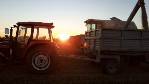 Ursus C-360 & Claas Dominator 108 ls