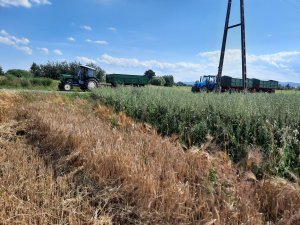 Ursus C-4011  & Landini  Ghilbi 