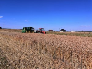 Ursus c360 & Volvo 1130 