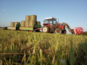 Zetor 6245