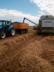 żniwa jęczmienia z odbiorem osobistym