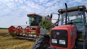 Żniwa na całego 😁