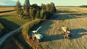 Claas Jaguar 900 & Massey Ferguson & Valtra