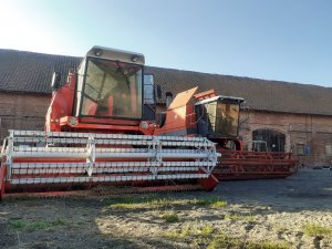 Bizon gigant Z08 & Bizon Bs z110