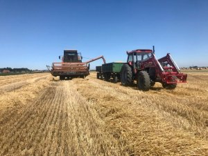 Bizon ZO56 + Ursus 1614