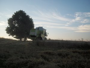 Claas dominator 76