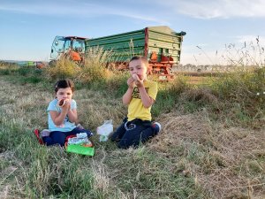 grillowana kiełbaska w polu 