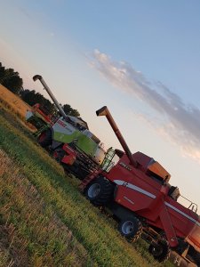 Laverda 296 LCS & Claas Lexion 520