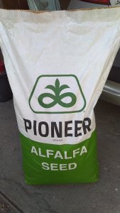 Lucerna Pioneer