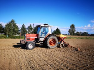 Massey Ferguson 3050 & Accord dl 