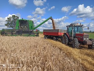 Massey Ferguson 306