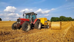 Massey Ferguson 3115E 