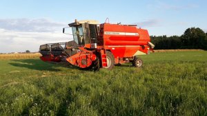 Massey Ferguson 34