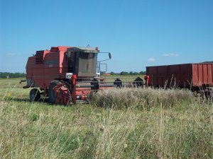 Massey Ferguson 36