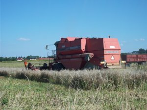 Massey Ferguson 36