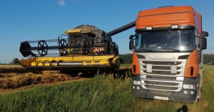 NH CX6080 + Scania R420