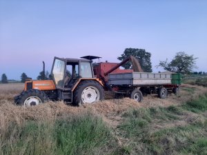 Renault 106-54 & Bizon