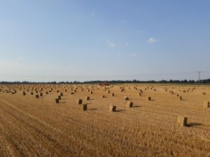 Słoma po mieszance na pasze :)