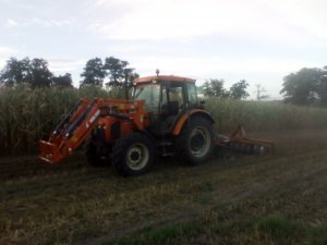 Zetor & talerzówka Strumyk