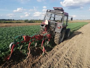 Zetor 5340 & Kverneland AD85