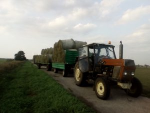 Ursus c-385 & HL8011 & Dłużyca