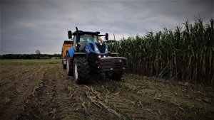 New Holland T7.175 & Wielton