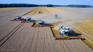 4x Claas Lexion