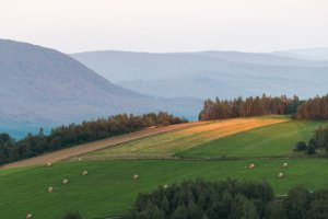 Beskid Niski