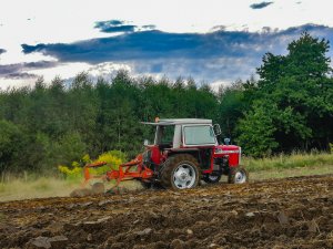 Massey ferguson  560