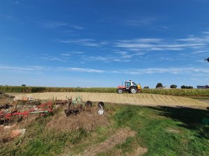 Massey i pryzma kukurydzy.