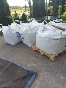 Materiał siewny pszenica.