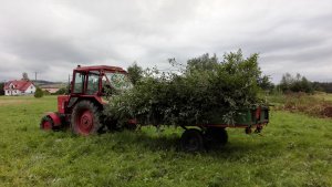 Mtz 82 & Przyczepa jednoosiowa