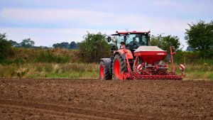 Kverneland Accord i Kubota M7152 Premium Kvt - siew rzepaku