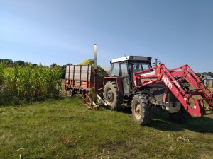 Zetor 10145 