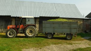 Zetor 7045 i rozrzutnik obornika Czarna Białostocka