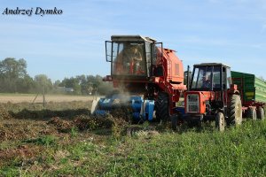 Bizon Rekord & Ursus