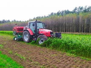 Massey Ferguson 6475 + Tolmet Tytan 300 + Unia Polonez 550/3