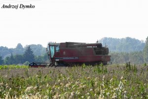 Case International 1460