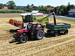 Claas Dominator 98VX i Ursus 1224