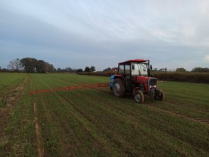 Massey Ferguson 255 & Biardzki