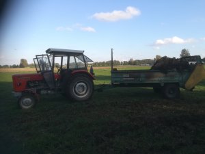 Obornik pod pszenice