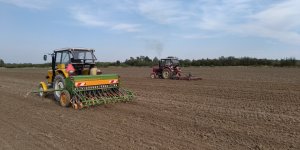 Ursus C-360-3P + Amazone D7 Special II & Ursus C-360 + Ro- Masz U629/5