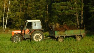 Zetor 7045 i rozrzutnik obornika Czarna Białostocka