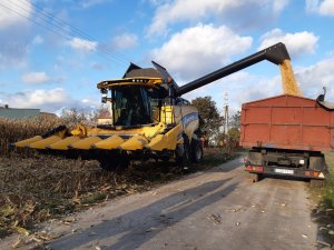 Żniwa kukurydziane - 19.10