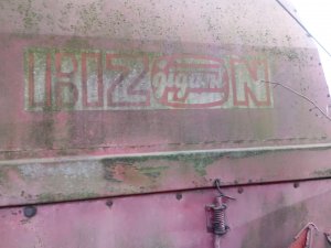 Emblemat Bizon Gigant Z060