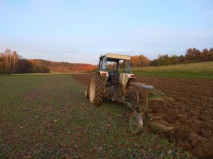 Ford 5000 & Gassner