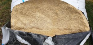 Kiszone ziarno kukurydzy